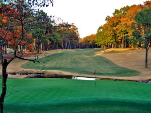 Shoal Creek 17th Back